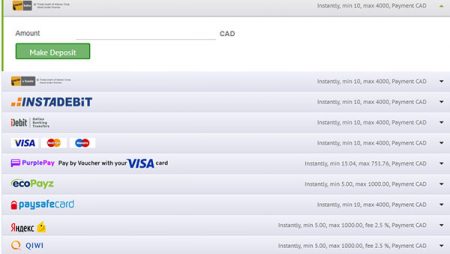 PlayAmo Casino Payment Methods