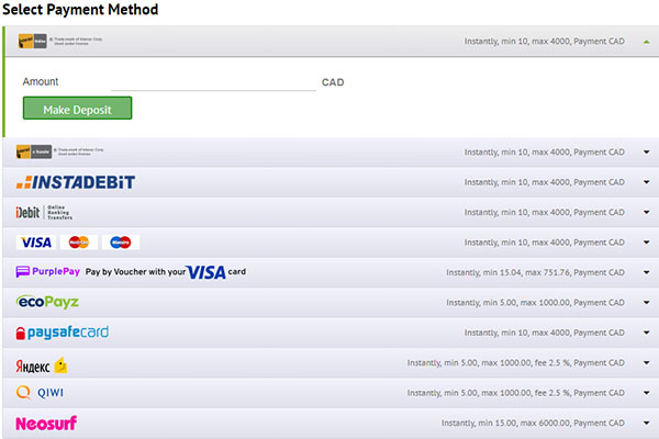 PlayAmo Casino Payment Methods